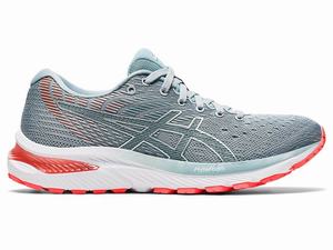 Asics GEL-CUMULUS 22 (D) Women's Running Shoes Light Grey | SFK243168