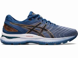 Asics GEL-NIMBUS 22 (4E) Men's Running Shoes Grey | PYC963502