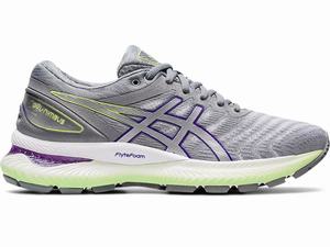 Asics GEL-NIMBUS 22 Women's Running Shoes White / Silver | TFP532807