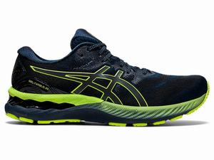 Asics GEL-NIMBUS 23 LITE-SHOW Men's Running Shoes Blue | LUY179852