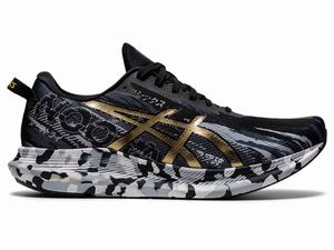 Asics NOOSA TRI 13 Men's Running Shoes Black / Gold | BTA491786